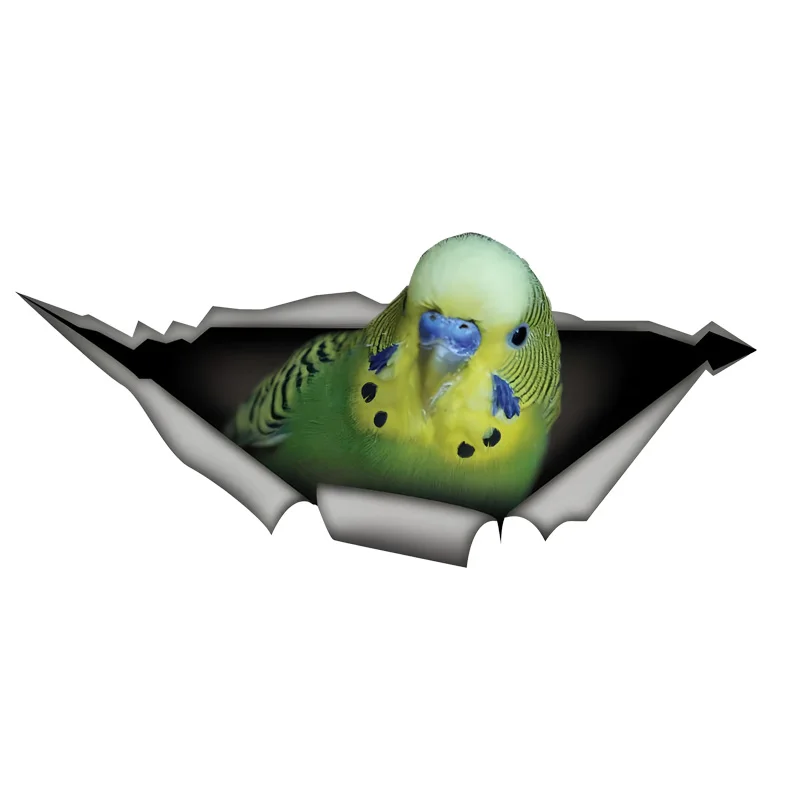 DK422# Green Budgie Car Decal 3D Break the Wall Car Sticker, Waterproof Vinyl Material Accessories, Interesting Creativity For C