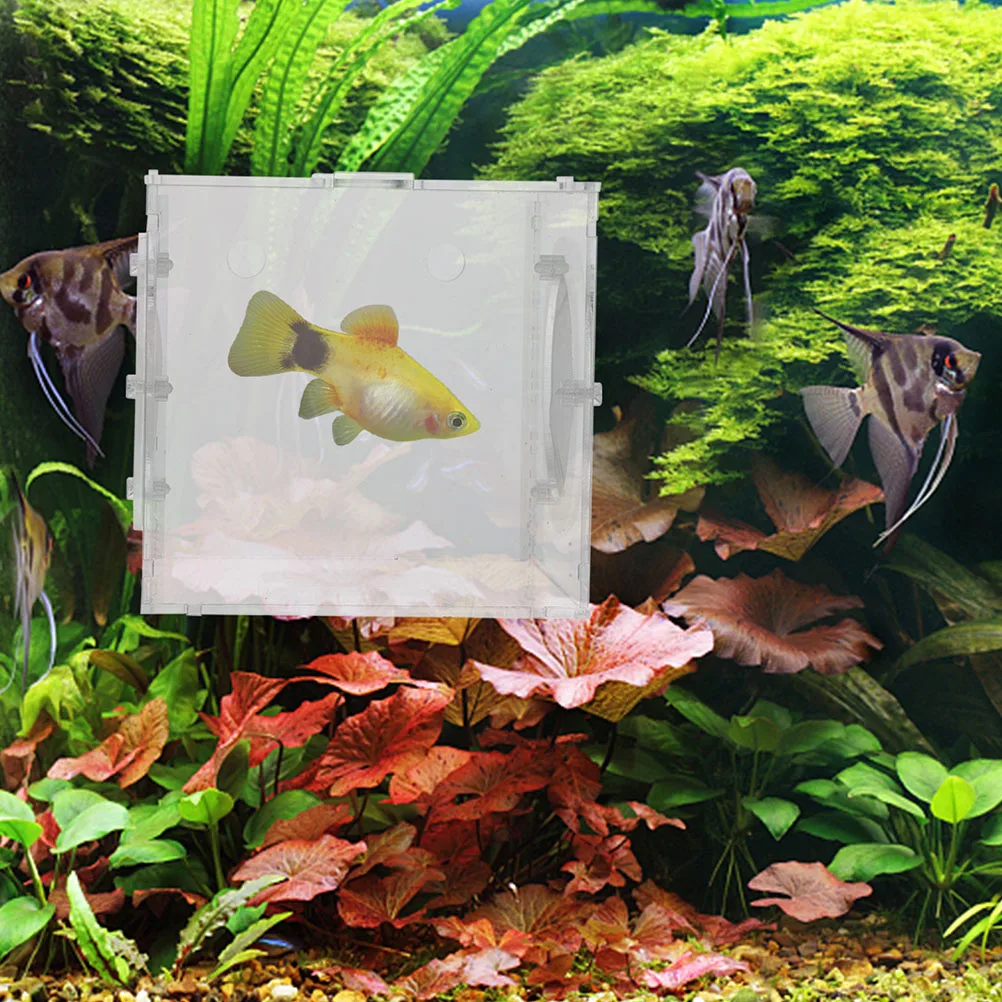 

Fish Fry Aquarium Egg Incubator Transparent Breeding Tank Isolation Case Multi-use Acrylic