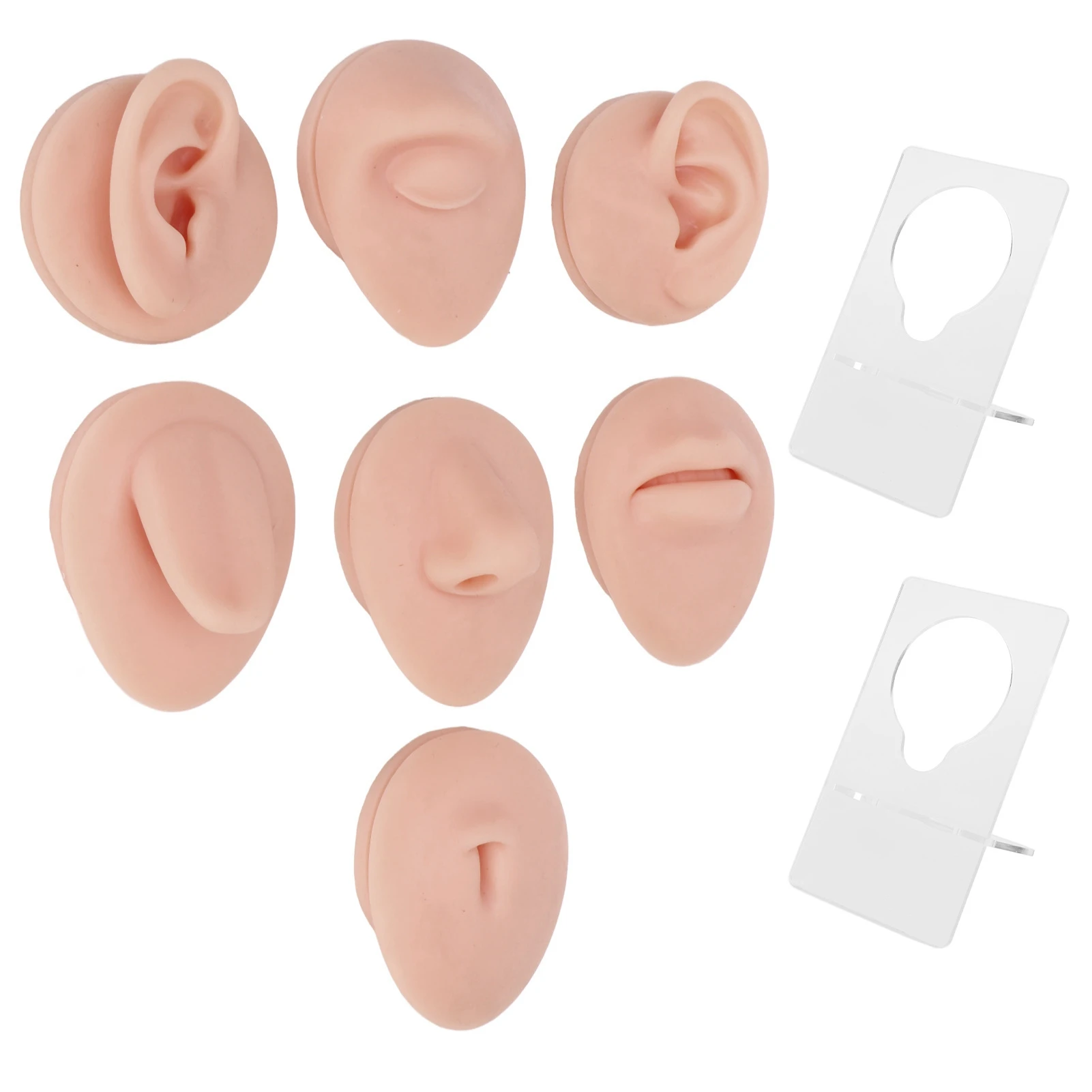 Modelo de cuerpo de perforación de silicona, modelo de ombligo de lengua, nariz, oreja de silicona suave, con estante de exhibición para práctica de perforación mediana