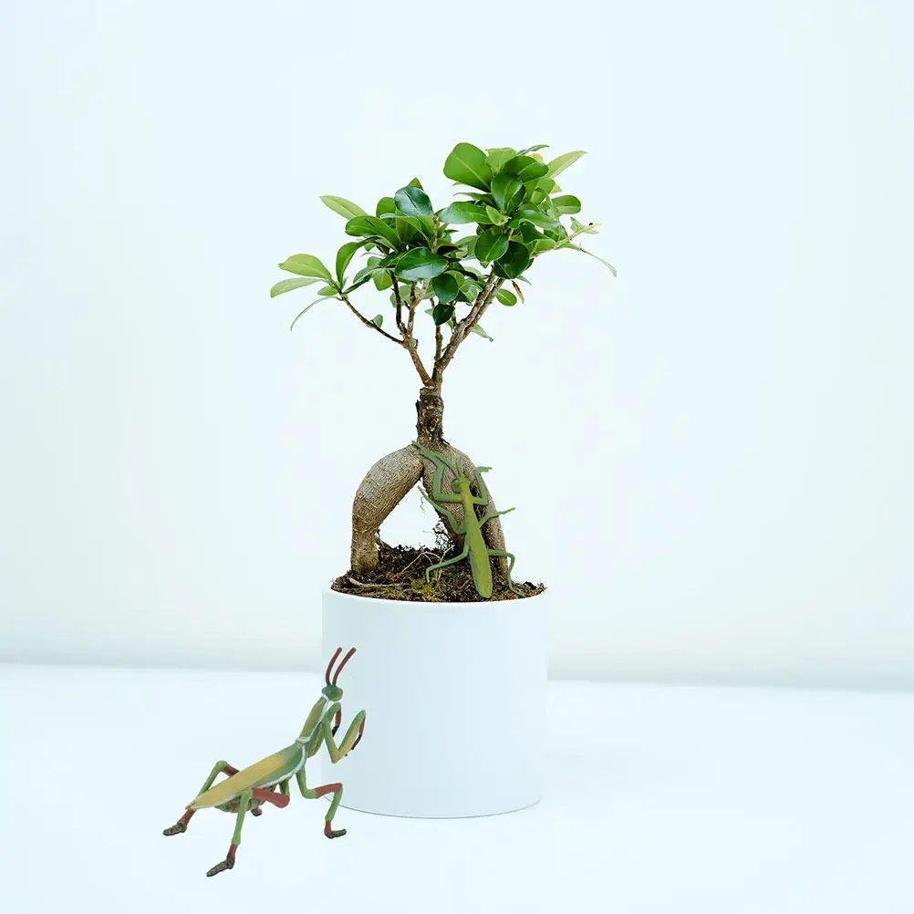 

1Pcs Plastic Mantis Art Piece Exquisite Design Simple Vivid Insect Ornament Bedroom Desk Shelf Decor Educational Early