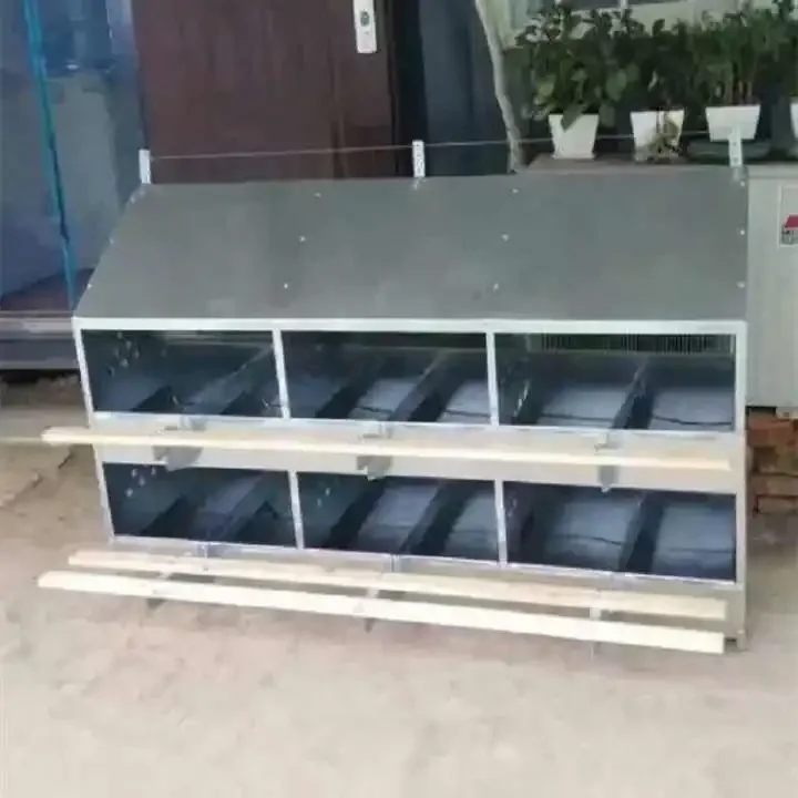 

Custom 12 Holes Chicken Egg Nesting Box for Chicken Coop Hen Laying Egg Nest Box 24/12 Holes Chicken Nest Box