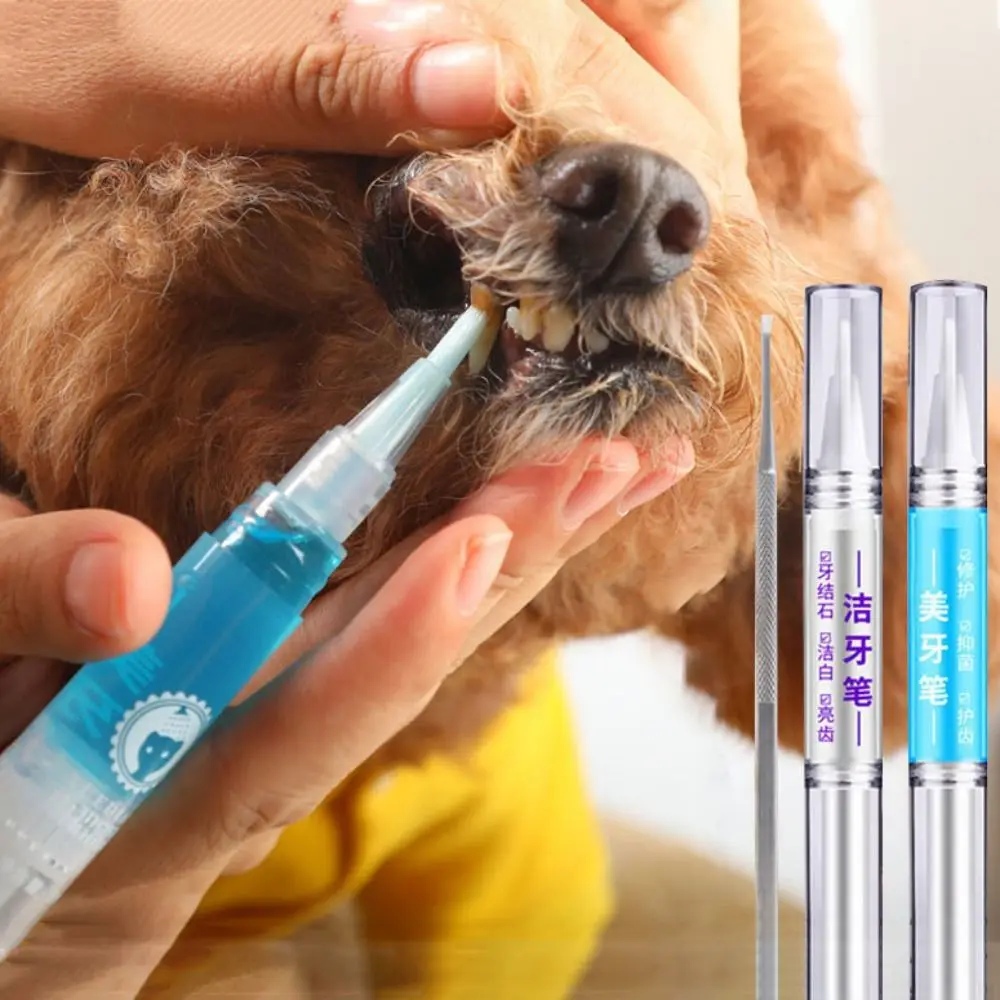 5ml Hunde zähne Reinigungs stift transparente Stift form Haustier Zahns teine Schaber Kunststoff Hund Zahnbürste Stift für Hunde Katzen