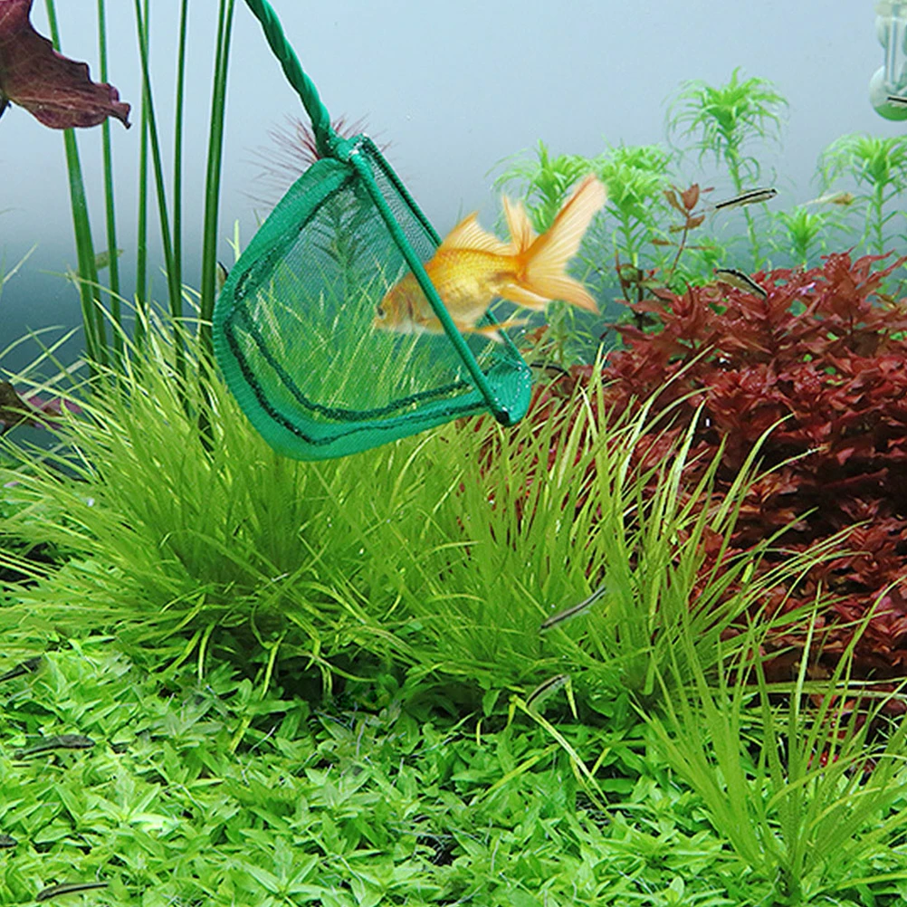 

2pcs Fish Tank 3 Inch Large Plastic Aquarium Equipment Leaf Tool Shrimp Net H held Fishing Gear Impurities L Net