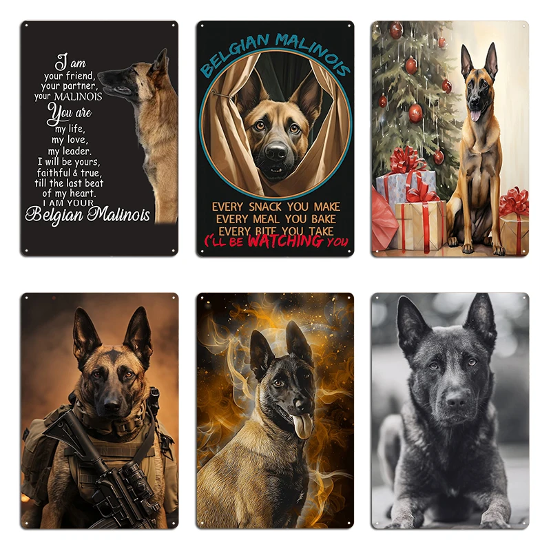 Belgian Malinois Lovable Look Simplyscene Metal Plaque Bar Design Classic Christmas Portrait of a Belgian Tin Sign Poster