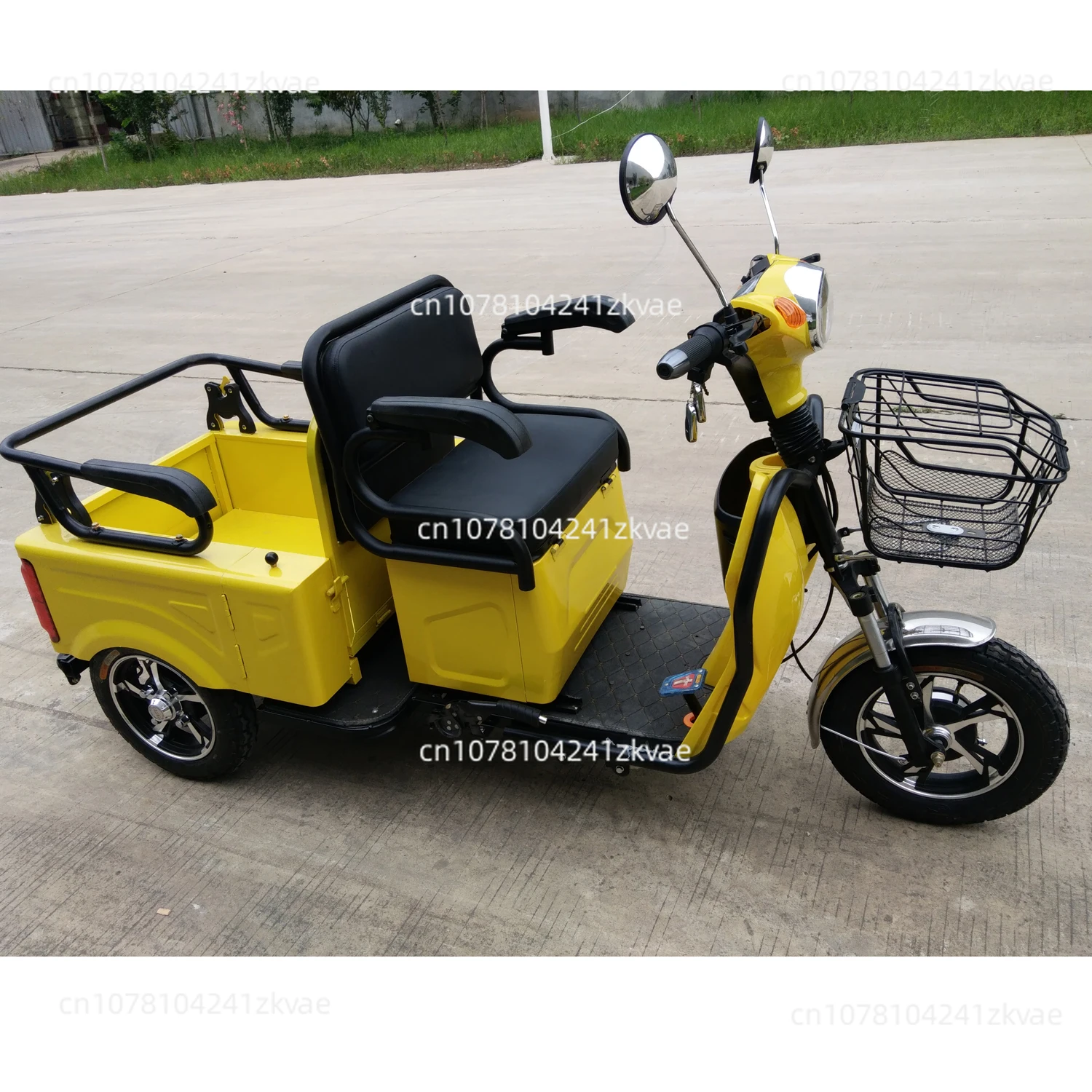 Leisure Three Wheel Electric Tricycle Mini Tuk Tuk With Two Passager Seat