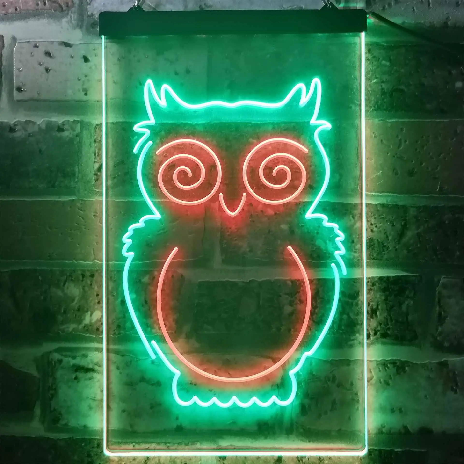 

Owl Dual Color Led Neon Sign st6-i3256