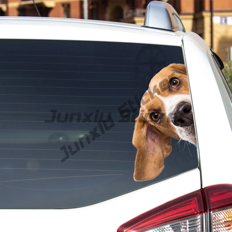 

Car Sticker Beagle Dog Pet Animal Waterproof Vinyl Decal Car Accessories Decor Pegatinas Para Coche