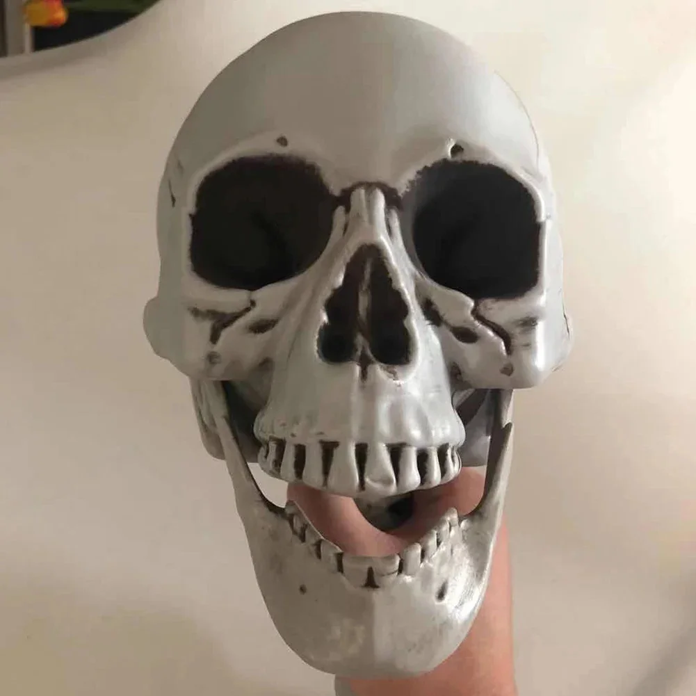 170 سنتيمتر هالوين الرعب تشريح المنقولة نموذج جمجمة ديكور الهيكل العظمي هالوين الدعامة Poseable كامل الحياة حجم الهيكل العظمي الدعامة الجمجمة