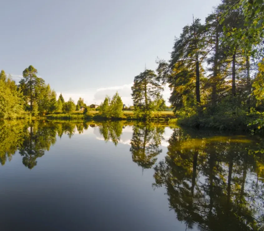 

1:14 Scale 4WD RC Car High Speed Waterproof Remote Control Truck 4x4 Off Road Drift Racing For Kids