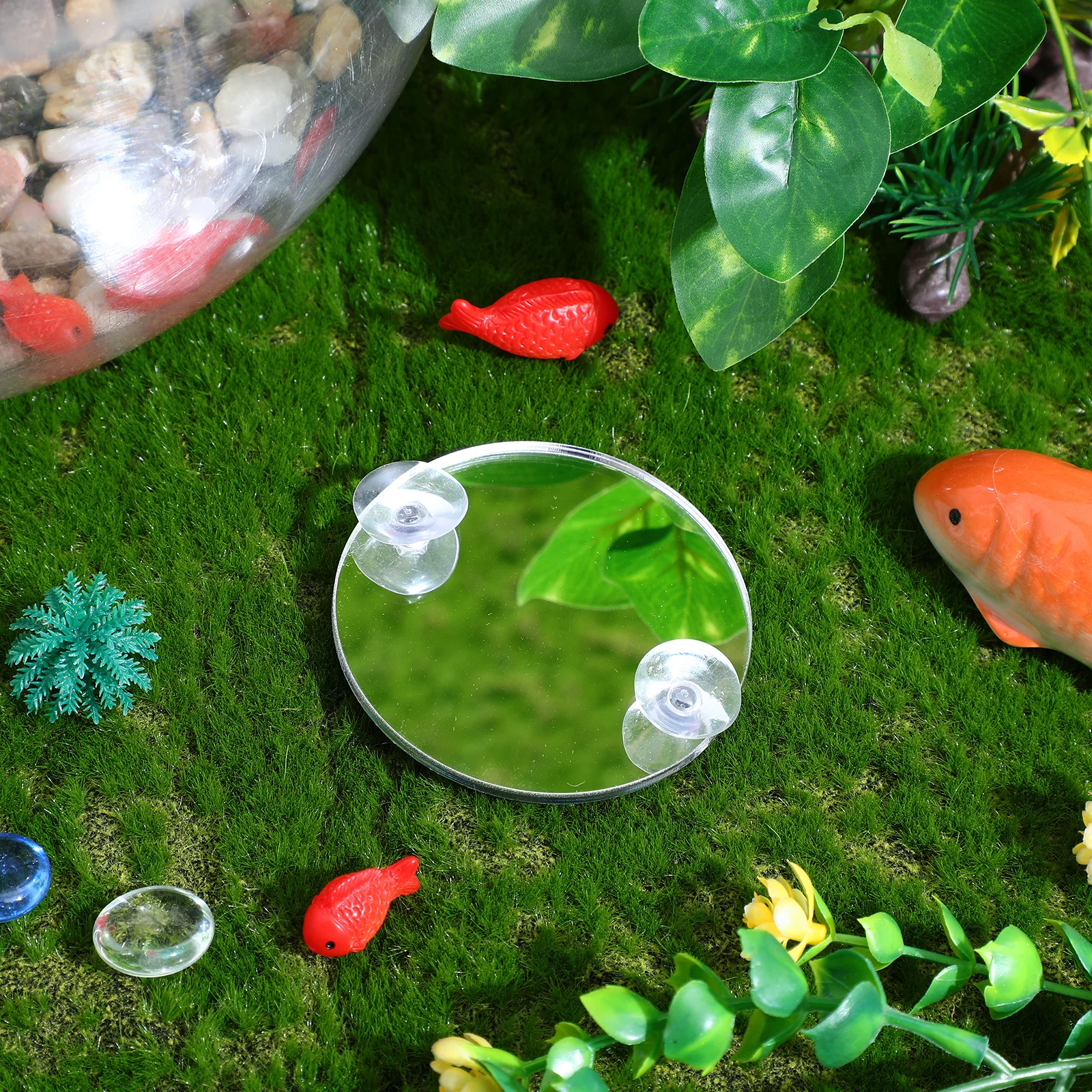 

Single Side Betta Fish Tank Mirror Acrylic Training Tool with Suction Cups Decorative Aquarium Addition Clear Shatter Resistant