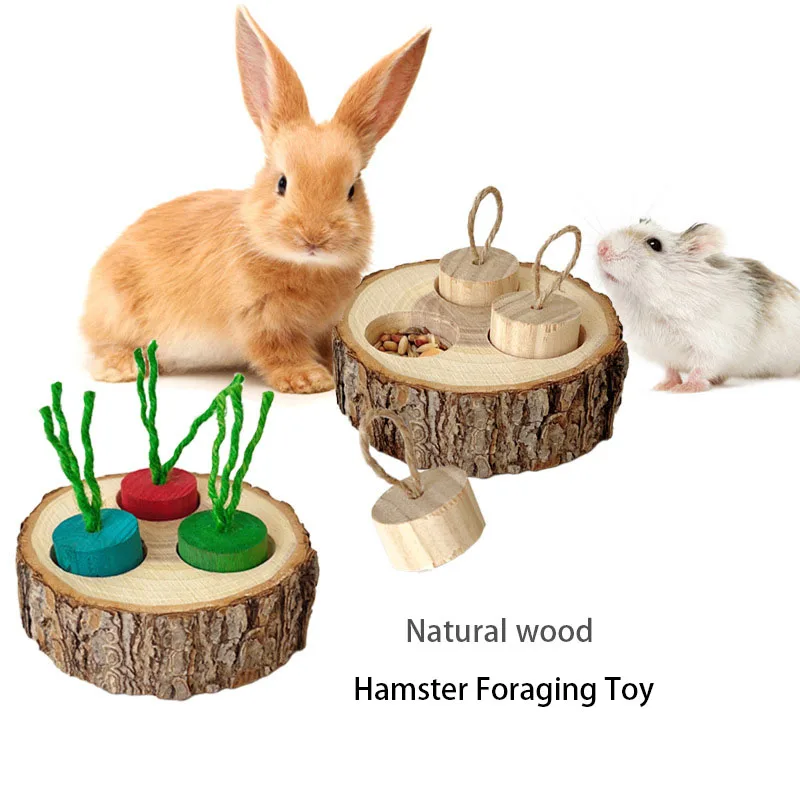 Wooden Hamster Toy Hamster Golden Bear Foraging Gnawing Grinding Teeth Wood Bite String Snack Box Hamster Landscaping Supplies view 2