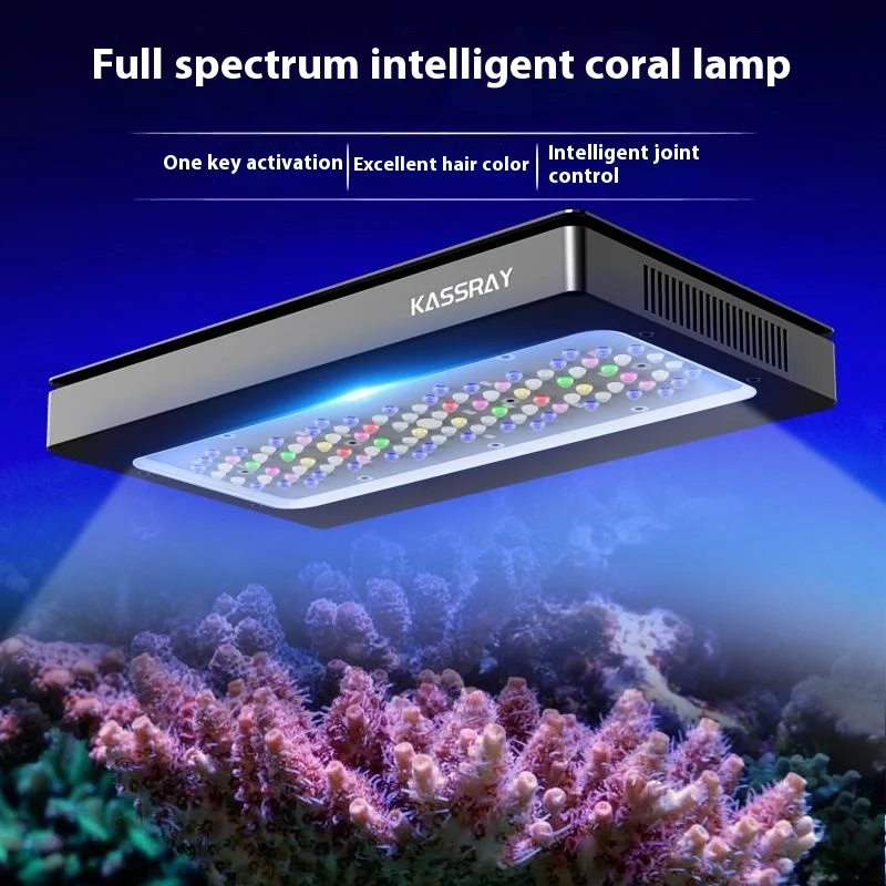 Kassray S240 High-Power Ten-Way Remote LED Light For Mobile Phones Full Coverage Modern Coral Rectangle Eco-Friendly Living