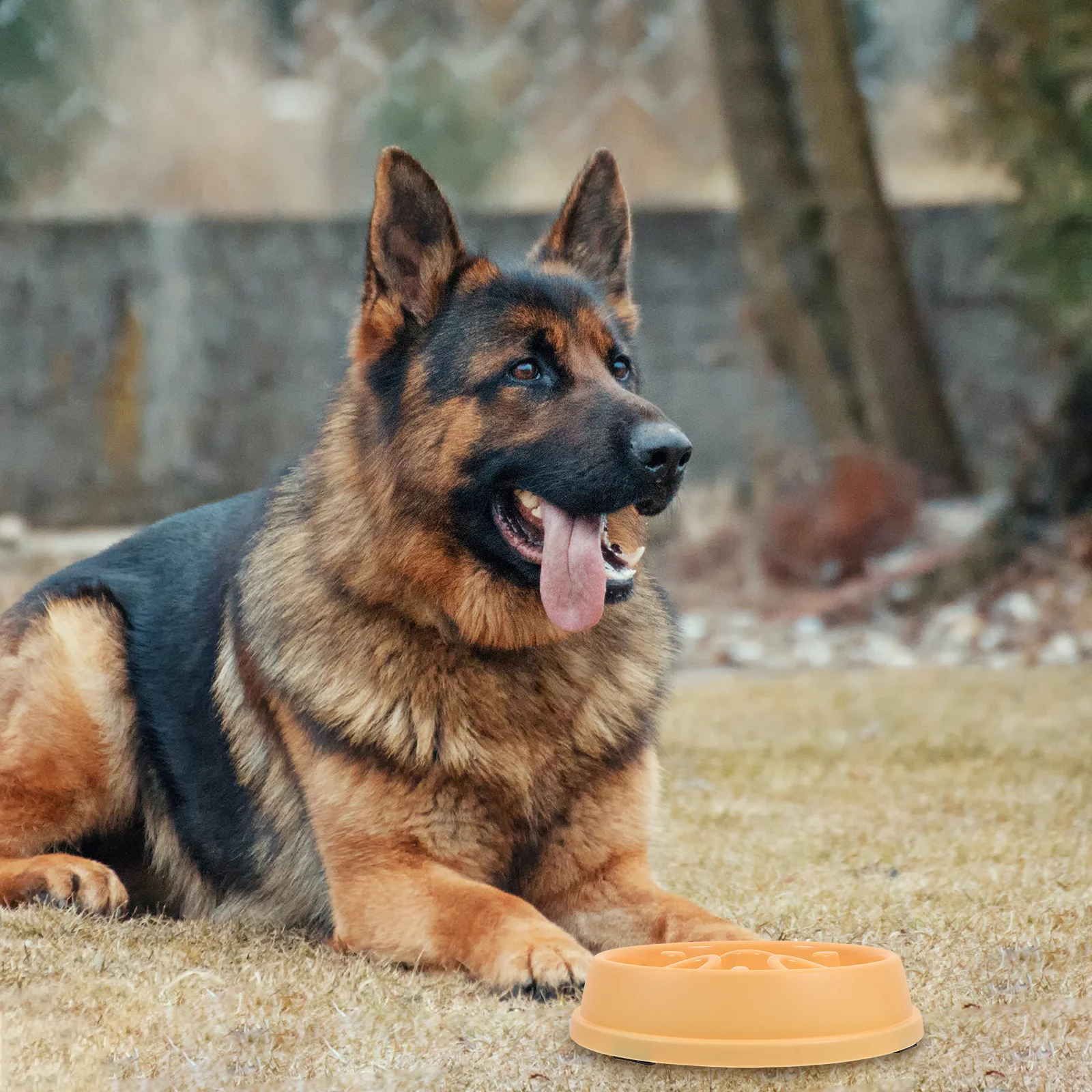 

Slow Feeder Dog Bowl Large ABS Material Raised Design Non Slip Bottom Promotes Healthy Eating Slow Feeding Maze Pet Food Bowl