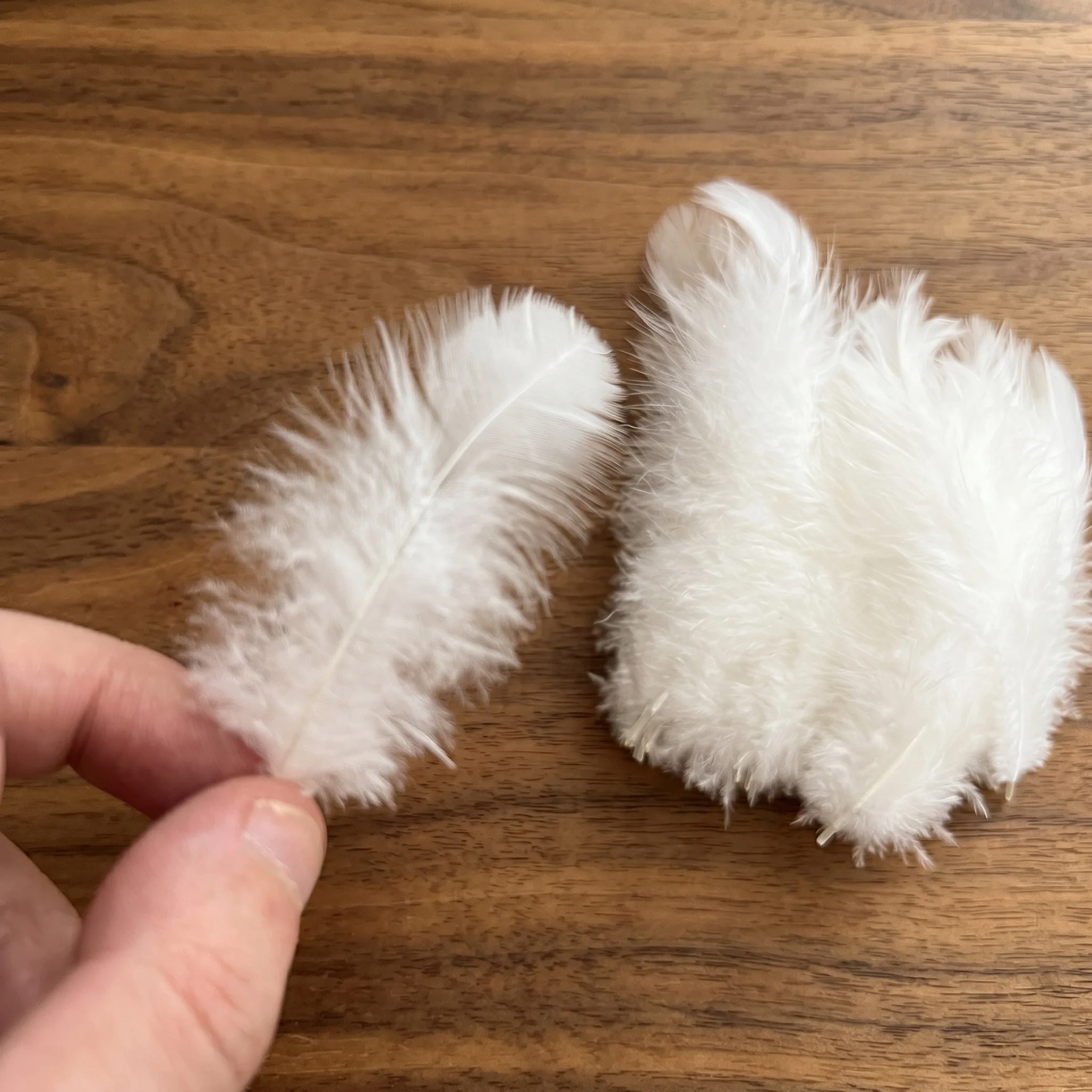 50/100/200 Stück 5-10CM Natürlich Gefärbte Hahnenfedern für Traumfänger DIY Handwerk Hochzeit Party Schmuck Dekoration Zubehör – Detail 2