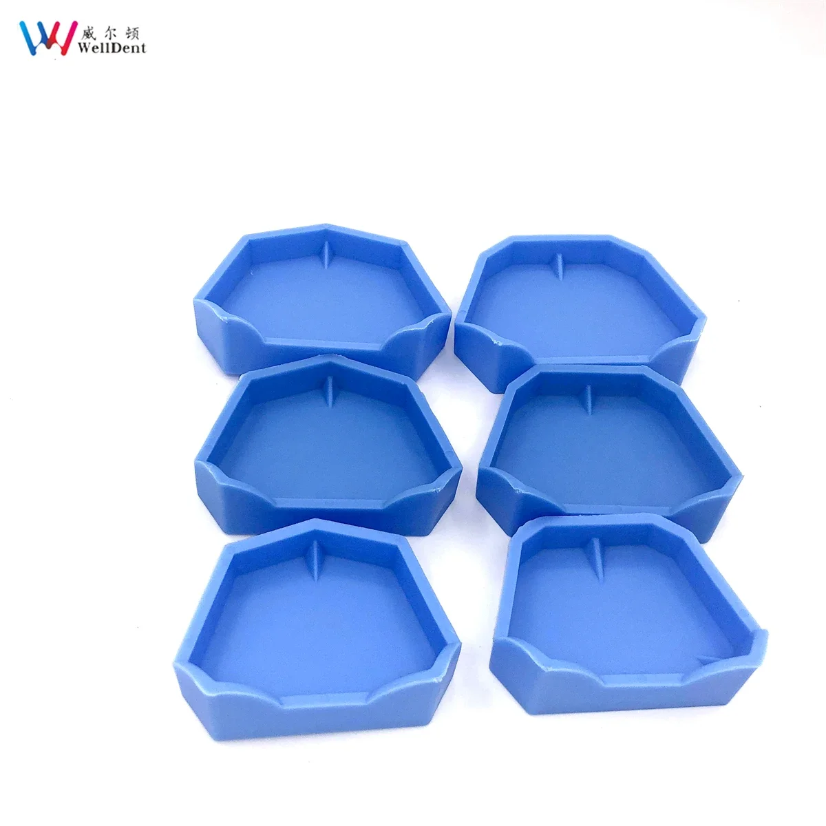 6Pcs/set Dental Model Base Set Dental Mold Plaster Base Denture Tray Oral Hygiene Care Dental Lab Former Base Kit for 3 Sizes