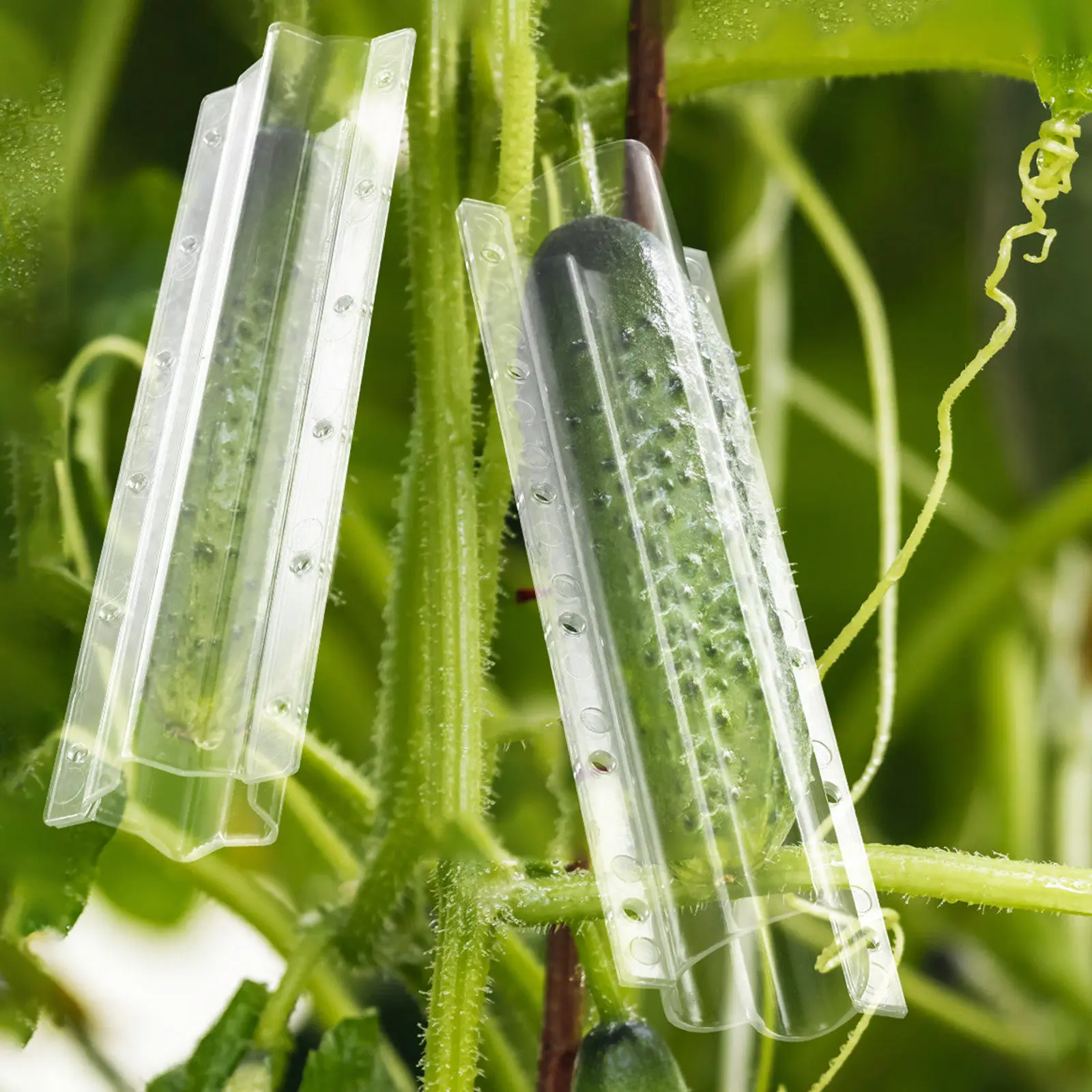 

4Pcs Cucumber Molds Unique Shapes Durable Plastic Fruit Shaping Molds for Creative Gardening and Cooking Cucumber Growing Mold