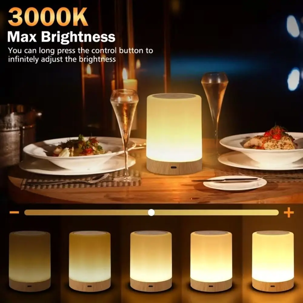 USB Rechargeable LED Touch Night Light Multi-Color Mode Timer Dimmable Desk Lamp Atmosphere Color Changing