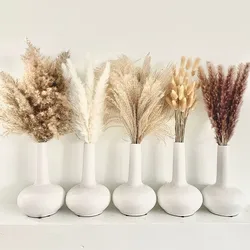 White Pampas Grass Fluffy Natural Dried Flowers Bunny Tail Grass DIY Boho Plant Pampa for Room Home Decoration Wedding