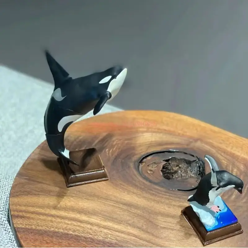 IKIMON tueur baleines Collection figurine jouet japonais véritable Gacha échelle modèle antarctique continent Codex vie chroniques