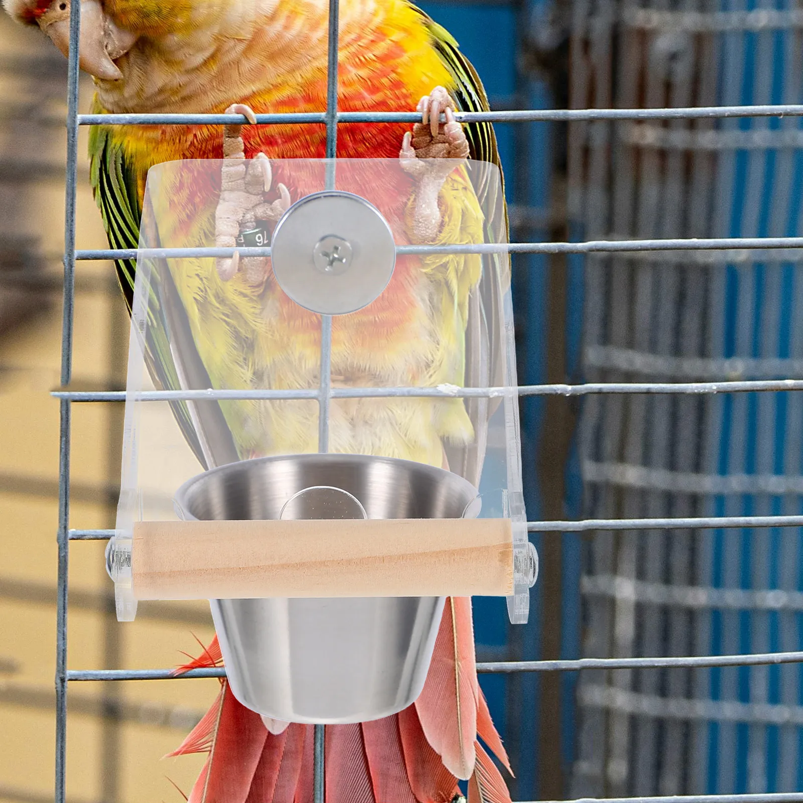 

Automatic Transparent No-Spill Food Container Parrot Indoor Spillproof Design Safe Material Cage Accessories For