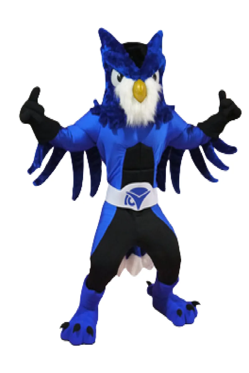 Oiseau hibou Connectwise mascotte costume personnalisé fantaisie anime cosplay kit mascotte thème déguisement carnaval costume b0463
