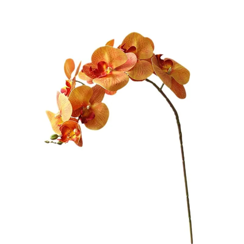 3D9 رئيس فالاينوبسيس محاكاة زهرة عالية الجودة طاولة طعام الزفاف زينة زخرفية متقدمة بيونيك وهمية