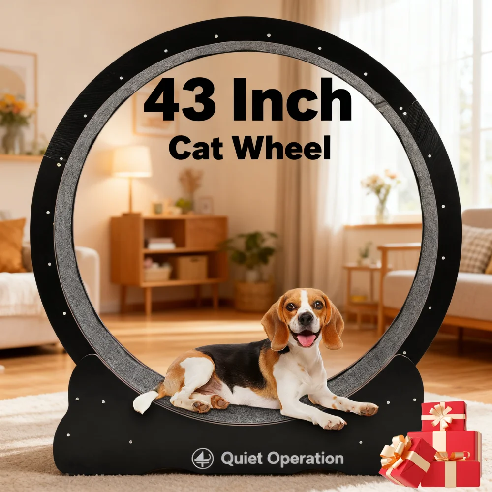 43 Inch Cat Running…