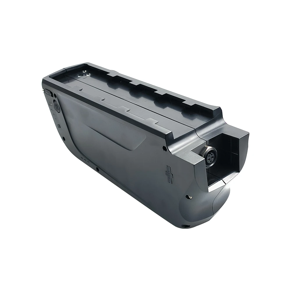 Hailong Plus 48V Down Tube Batteries 17.5Ah  840Wh for EBO 48V Burly RadRover RadPowerSecond Battery