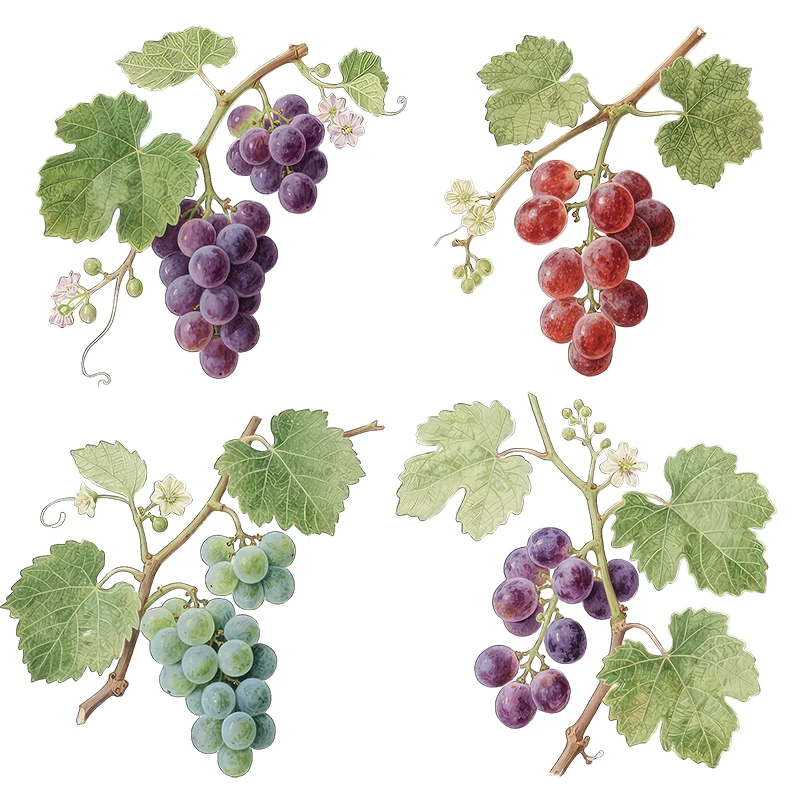 Three Ratels CFN122 Fresh grape branch wall stickers for home decoration Fruit shop decal