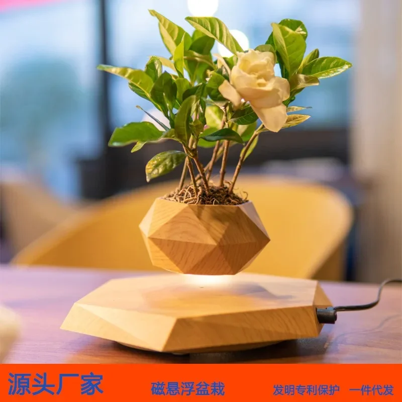 Maglev potted plants wholesale cross-border factory for creative flower pots, bonsai plants, maglev potted plants, one piece for