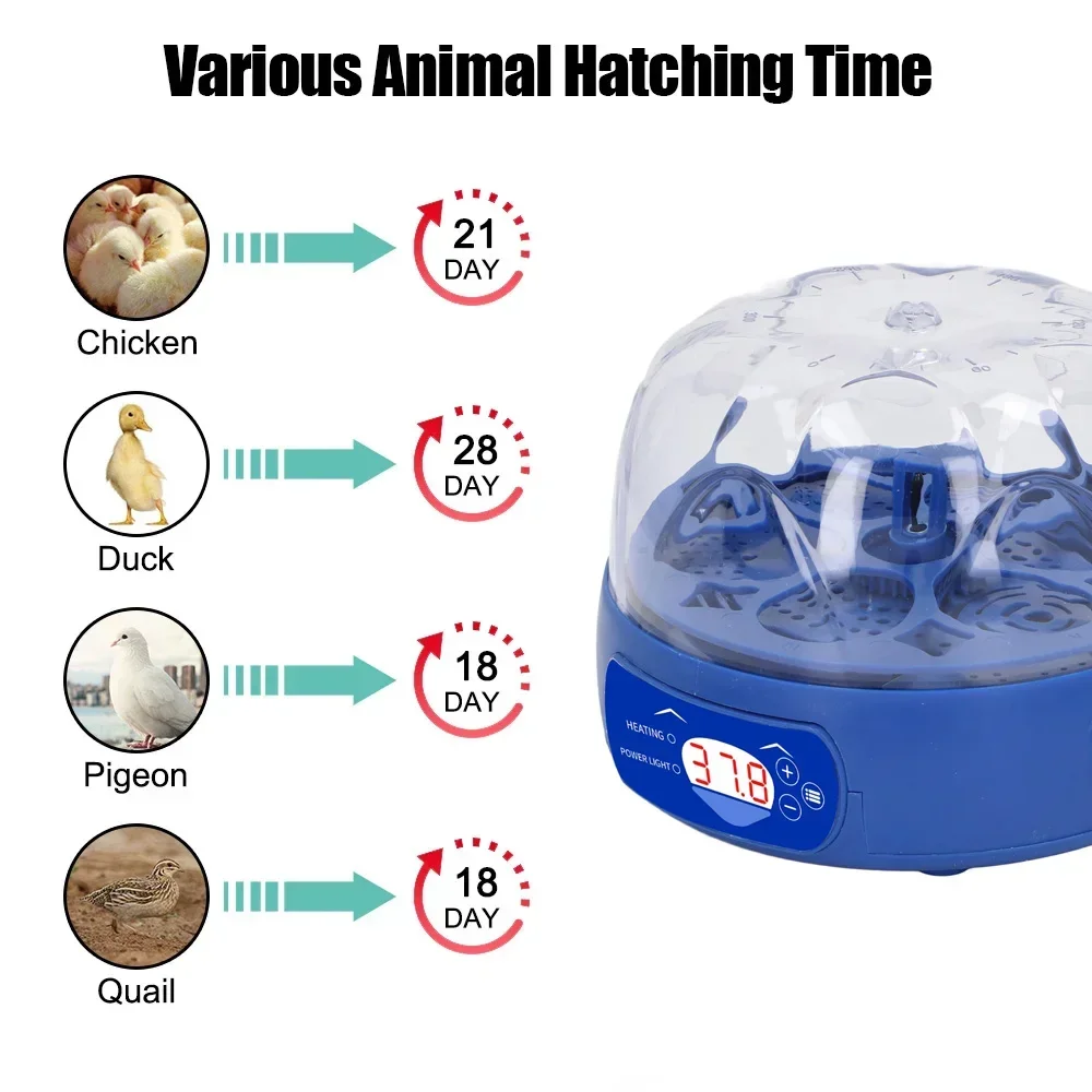 6 Eggs Automatic Egg Incubator Poultry Hatching Machine Mini Turning Temperature Control Breeder for Chicken Birds Duck Goose