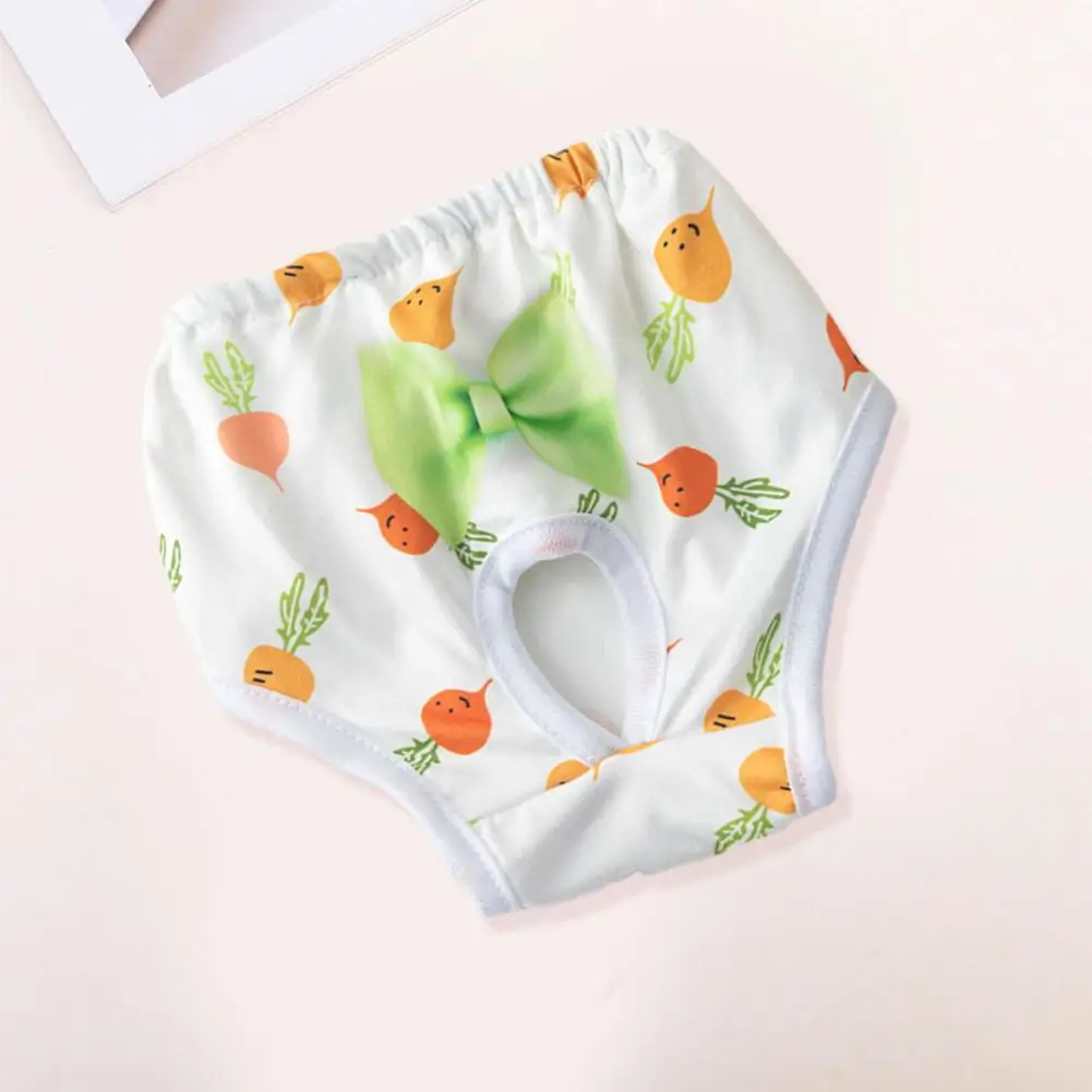 Dog Menstrual Underwear Comfortable Absorbent Pet Menstrual Pants Prevent Mess with Breathable Bow Dog Clothes for Dogs