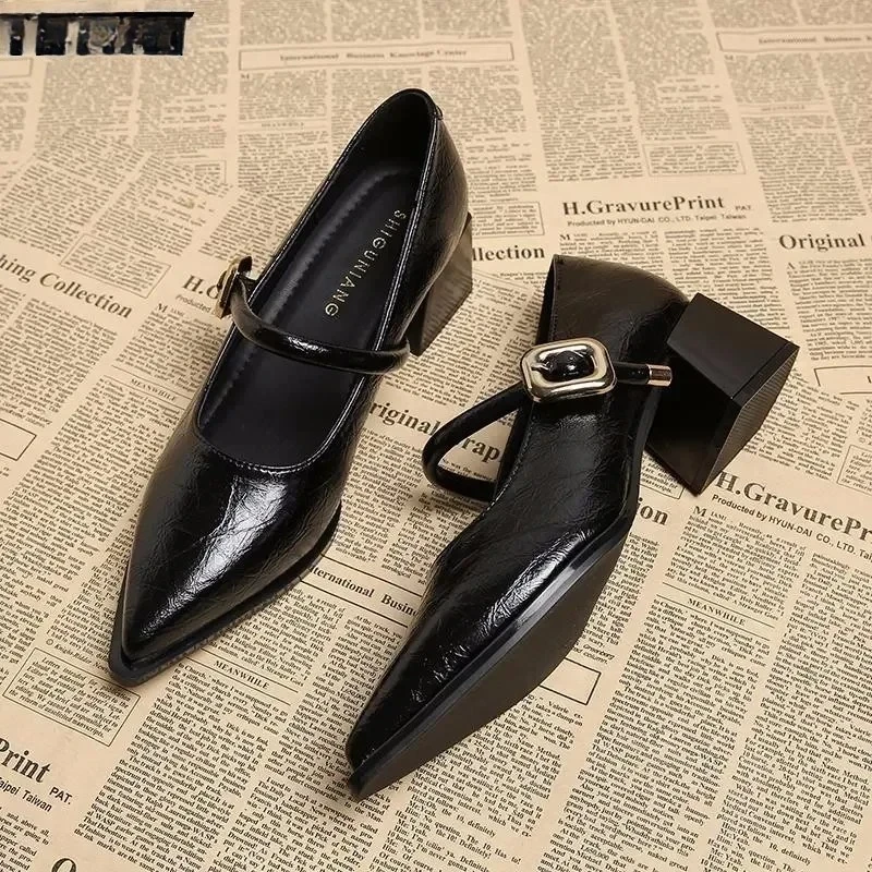 

Designer Shoes Vintage Pointed Toe Women Mary Jane Shoes 2025 Fashion Shallow Buckle Shoes Ladies Elegant Dress Thick Heel Shoe