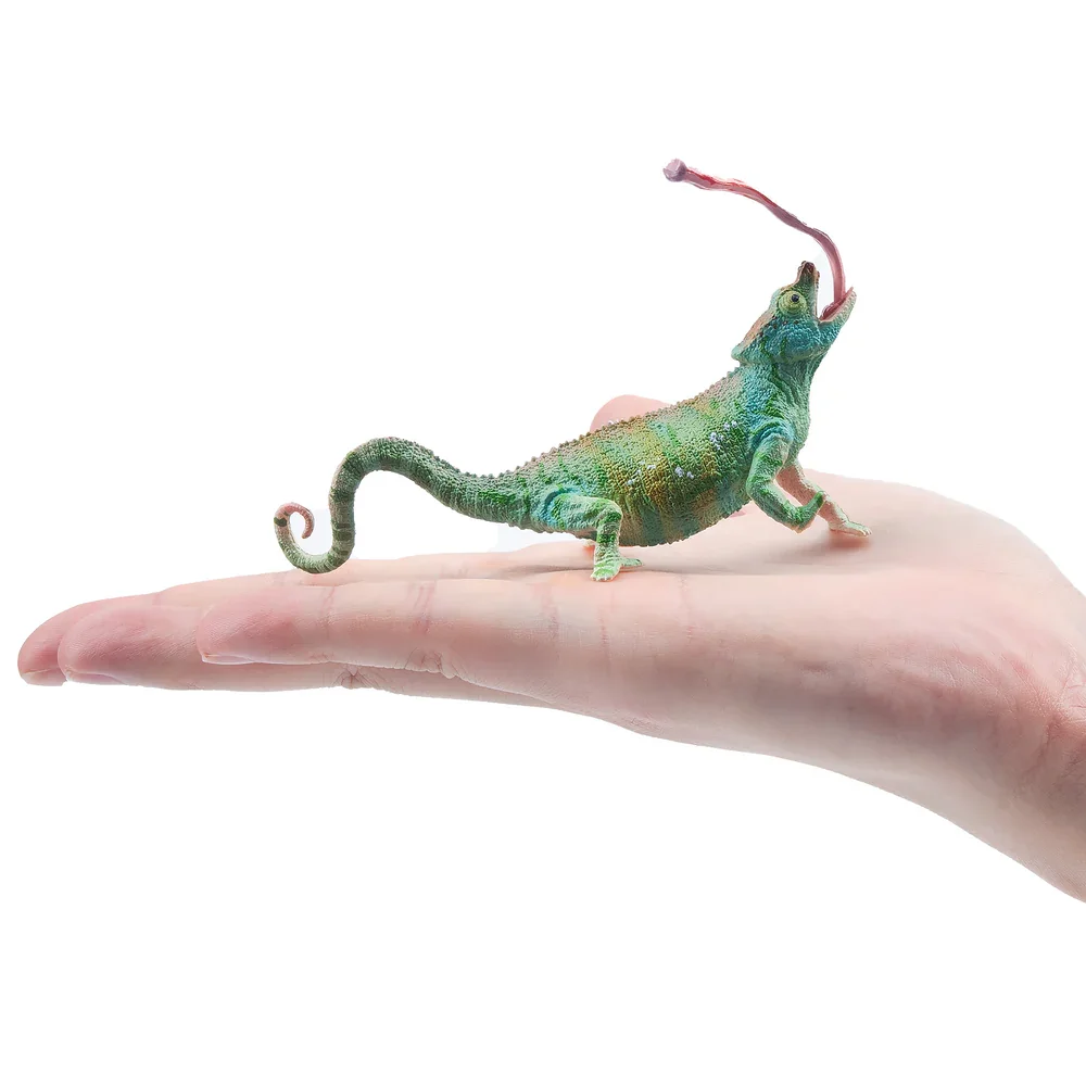 Toymany SimulationParson's Chameleon Madagascar Animal Model Toy Mini figurki lalki figurki akcji zabawki prezent dla dzieci