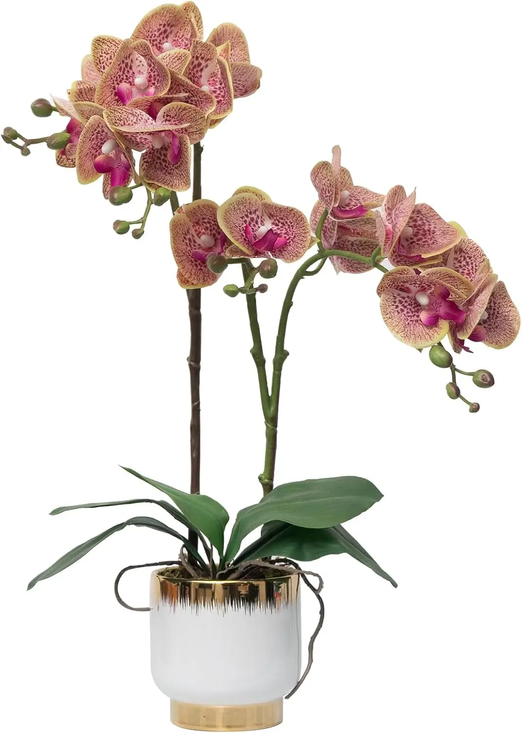 Orchids Artificial Flowers Real Touch Fake Flowers in Ceramic Pot 20" Purple Dapple Faux Orchid Plant Lifelike Silk Phal