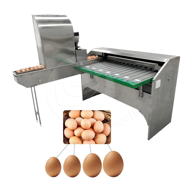 High Quality Philippines Automatic Small Egg Scale Grader Duck Chicken Sort Egg Machine by Weight