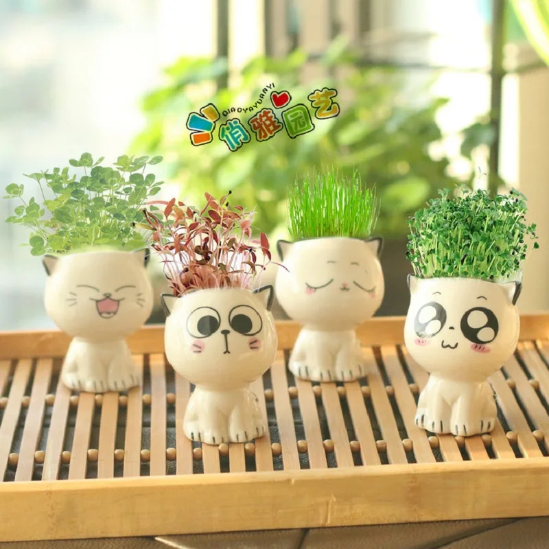 Ceramic Flowerpot Mini Cat Shaped Cartoon Cute Potted Plant Desktop Potted Expression Cat Plant Pot Desk Decorate Small Ornament