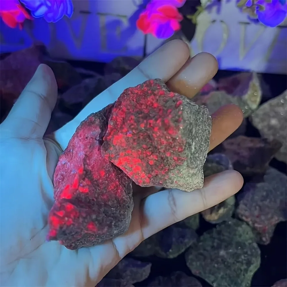 Authentic Ruby in Kyanite Raw Stone Blue Red Crystal Specimen Healing Energy Stone Gift Mineral Specimen for Reiki Chakra