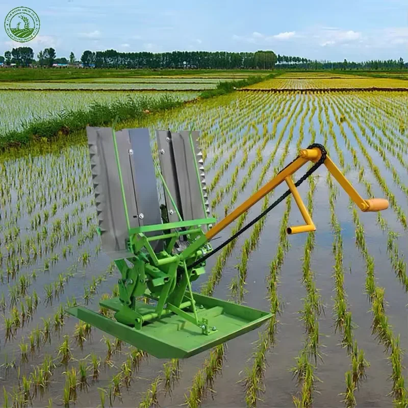 Easy to Operate Cheap and Efficient Small Manual 2 Row Rice Transplanter
