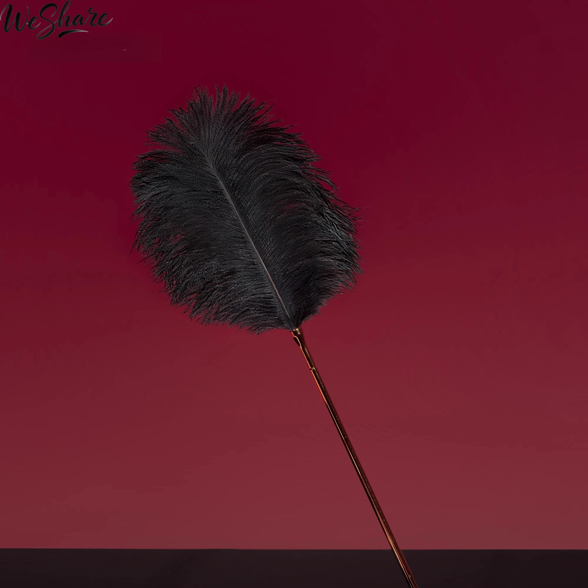 ريشة دغدغة قابلة للفصل بمقبض معدني ريش أسود طبيعي للعب الحسي BDSM لعبة دغدغة للأزواج المداعبة #2