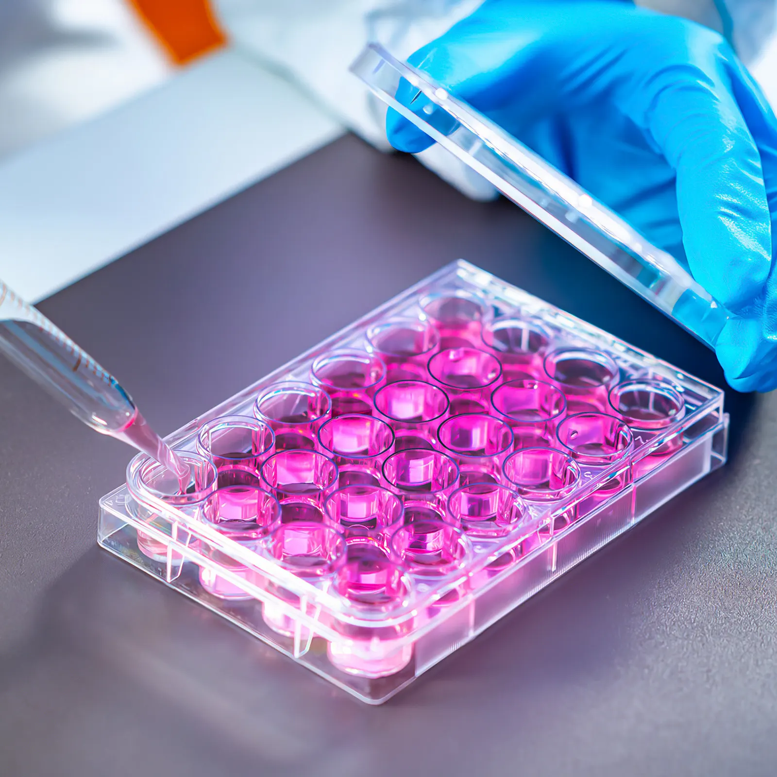 Plaque de culture cellulaire en plastique à 24 puits, de qualité stérile, en polystyrène, empilable, pour laboratoire