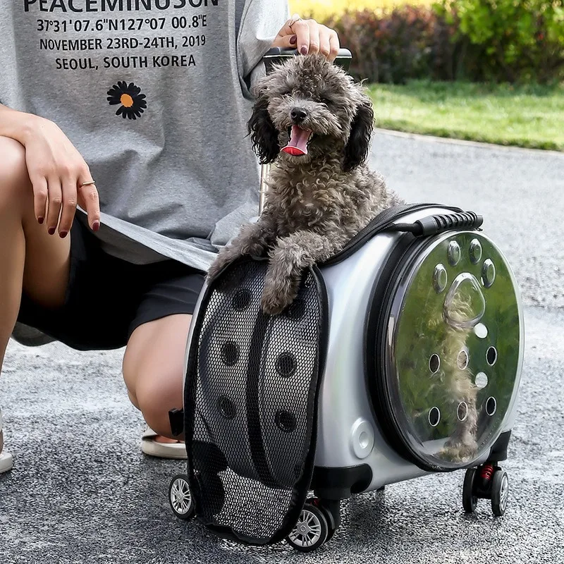 for Journey Outside Portable Pet Products Supplies Carriers Small Pet Trolley Clear Shoulder Cat Bag Pack Breathable Crate