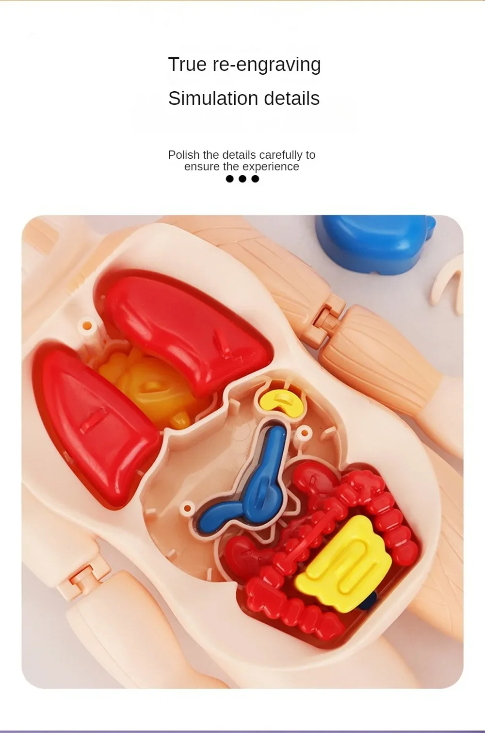 

Деревянный игровой набор Монтессори: сортировка, сопоставление, игра с шариками и палочками, многофункциональная развивающая игрушка для малышей