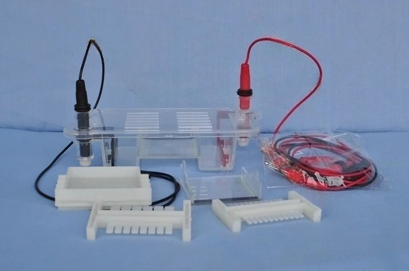 27022 Horizontal Electrophoresis Tank High School Biology Instrument Cheap and Easy to Use