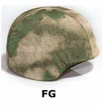 FG