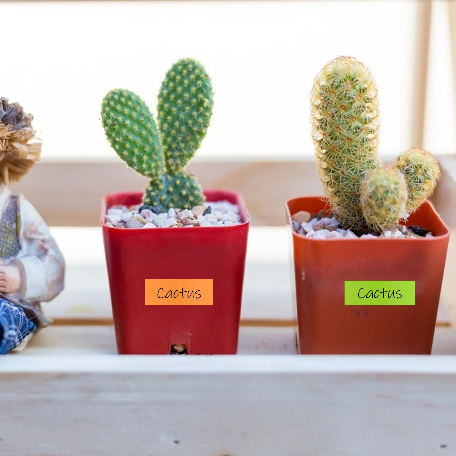 

5 Rolls Colorful Washi Tape Diy Decorative Sticker For Scrapbook Journal Album Art Craft Projects Decal Ornament Adhesive Tape