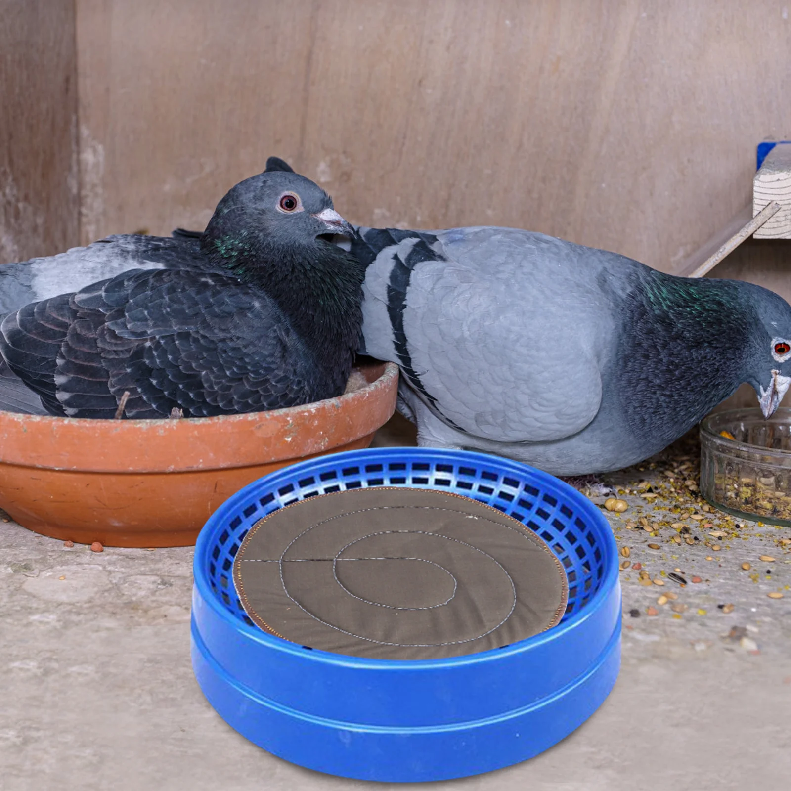 

10Pcs Pigeon Cage Cloth Pad Durable Reusable Breathable Lightweight for Pigeon Nest Accessories Black Pads Protection Cushion