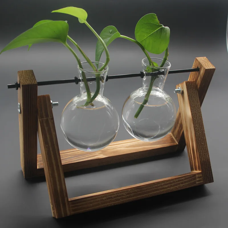 Wooden Frame Glass Tabletop Plants Home Decoration