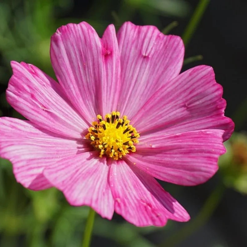 4Pcs Ban Masonry 110*38MM Ban Medan Berlumpur 1.9 inci untuk Mobil RC Crawler 1/10 Axial SCX10 Pro Capra UTB18 TRX4 Redcat (R131)