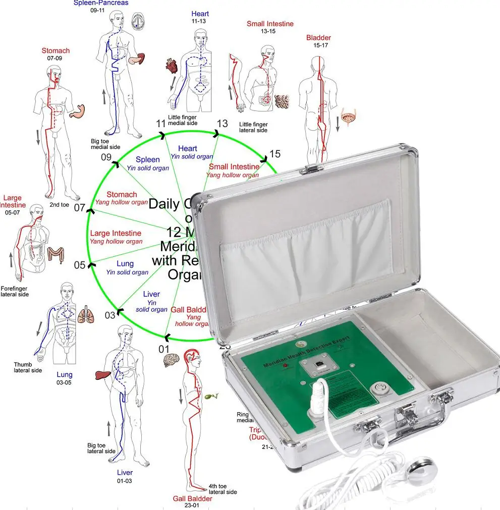 Russia Version Chinese Meridian Body Health Diagnostic Machine Acupuncture Analyzer Device